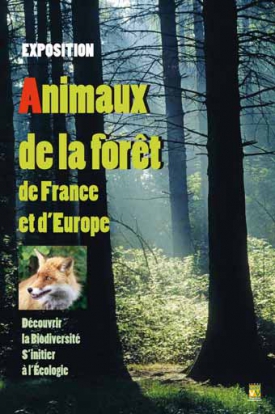 Les animaux de la forêt de France et d’Europe